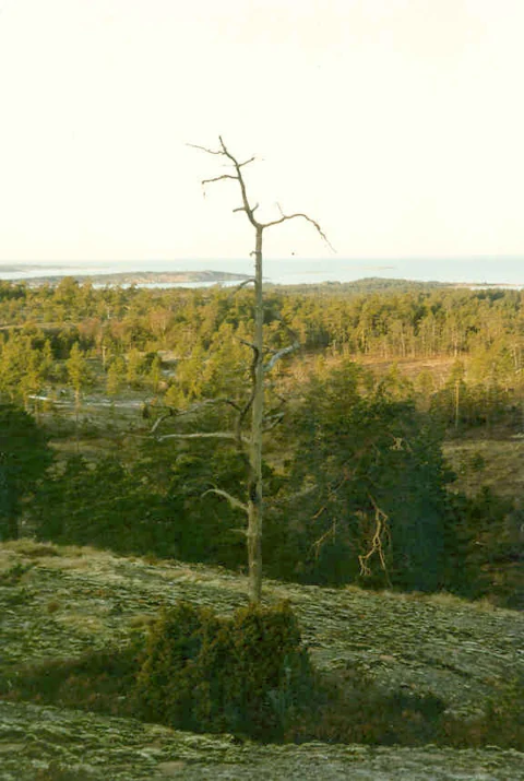 Landscape at Soltuna, Geta — historical photograph