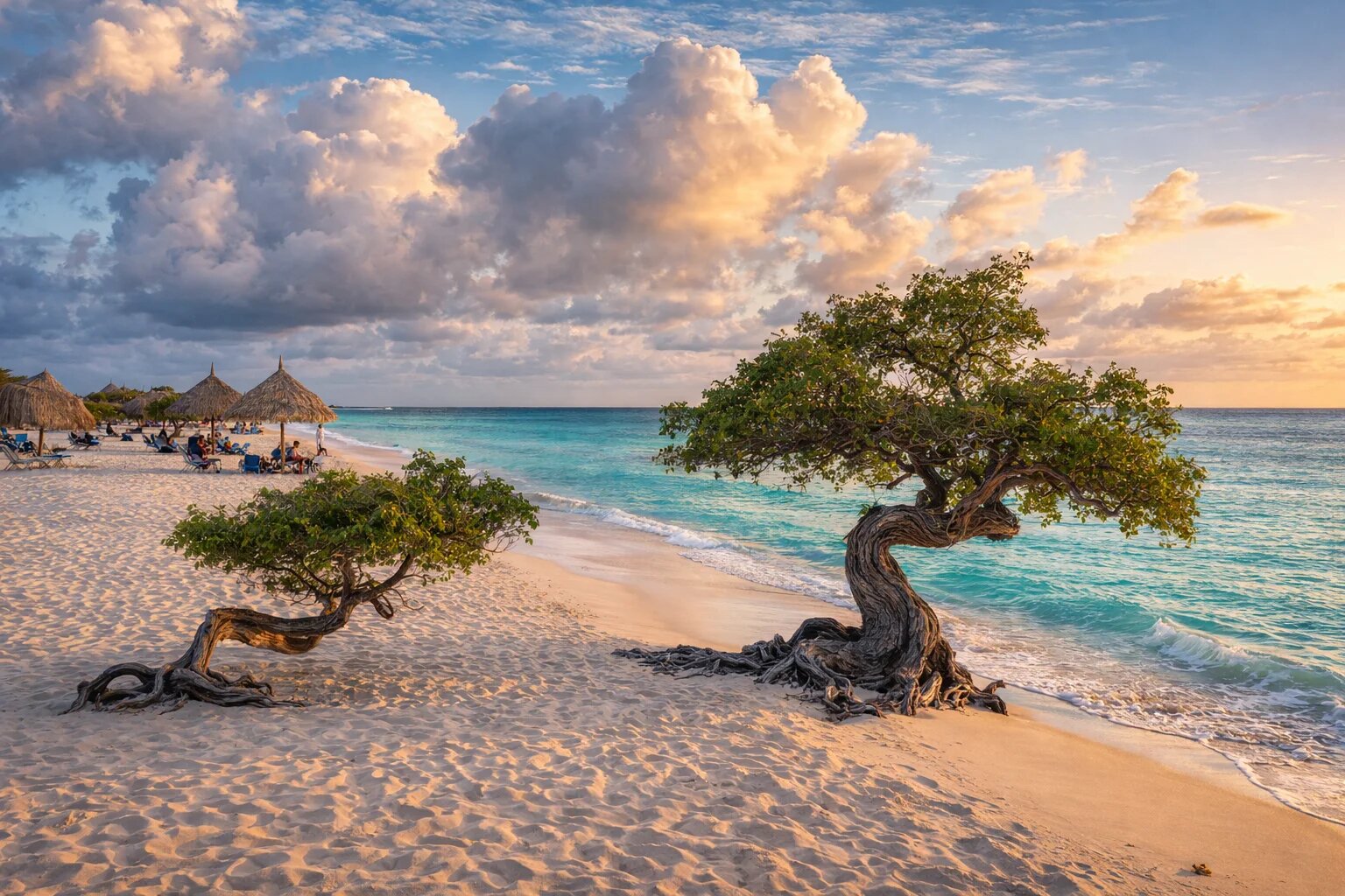 Wind-bent divi-divi trees on Eagle Beach at sunset with turquoise water