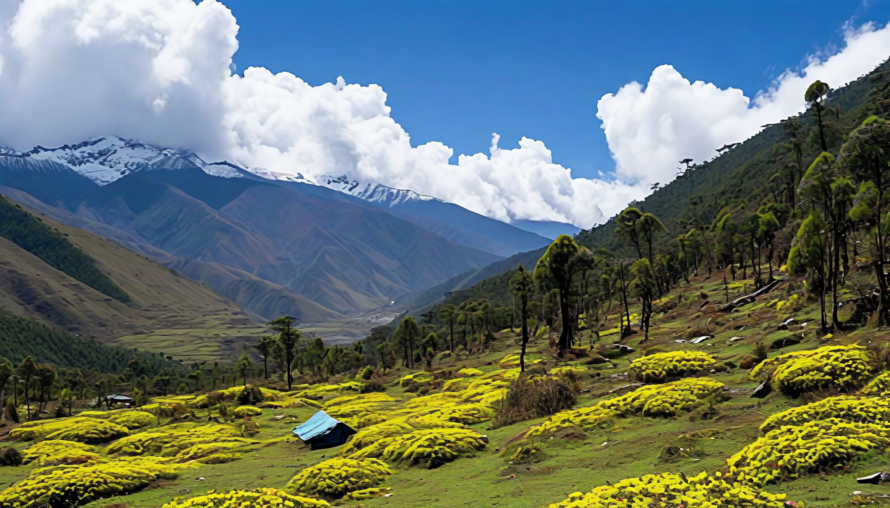 Sakteng Wildlife Sanctuary brokpa territory