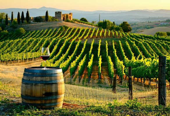 Bulgarian wine culture