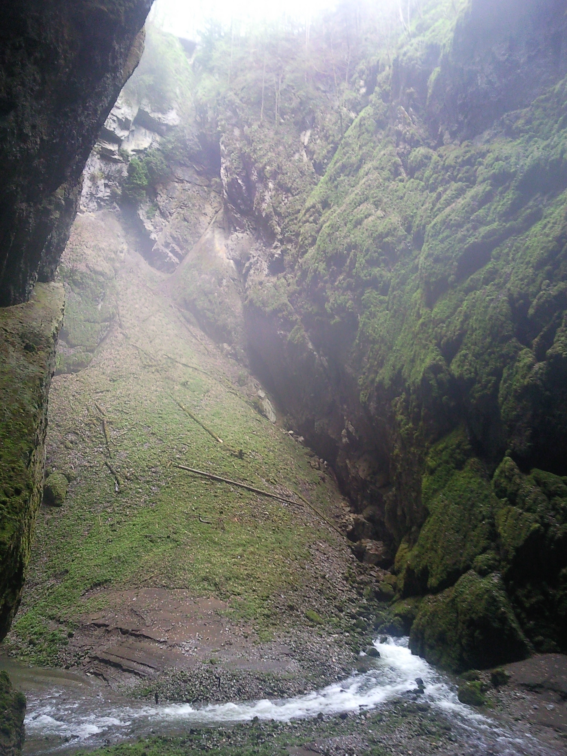 Macocha Abyss gorge in Moravian Karst