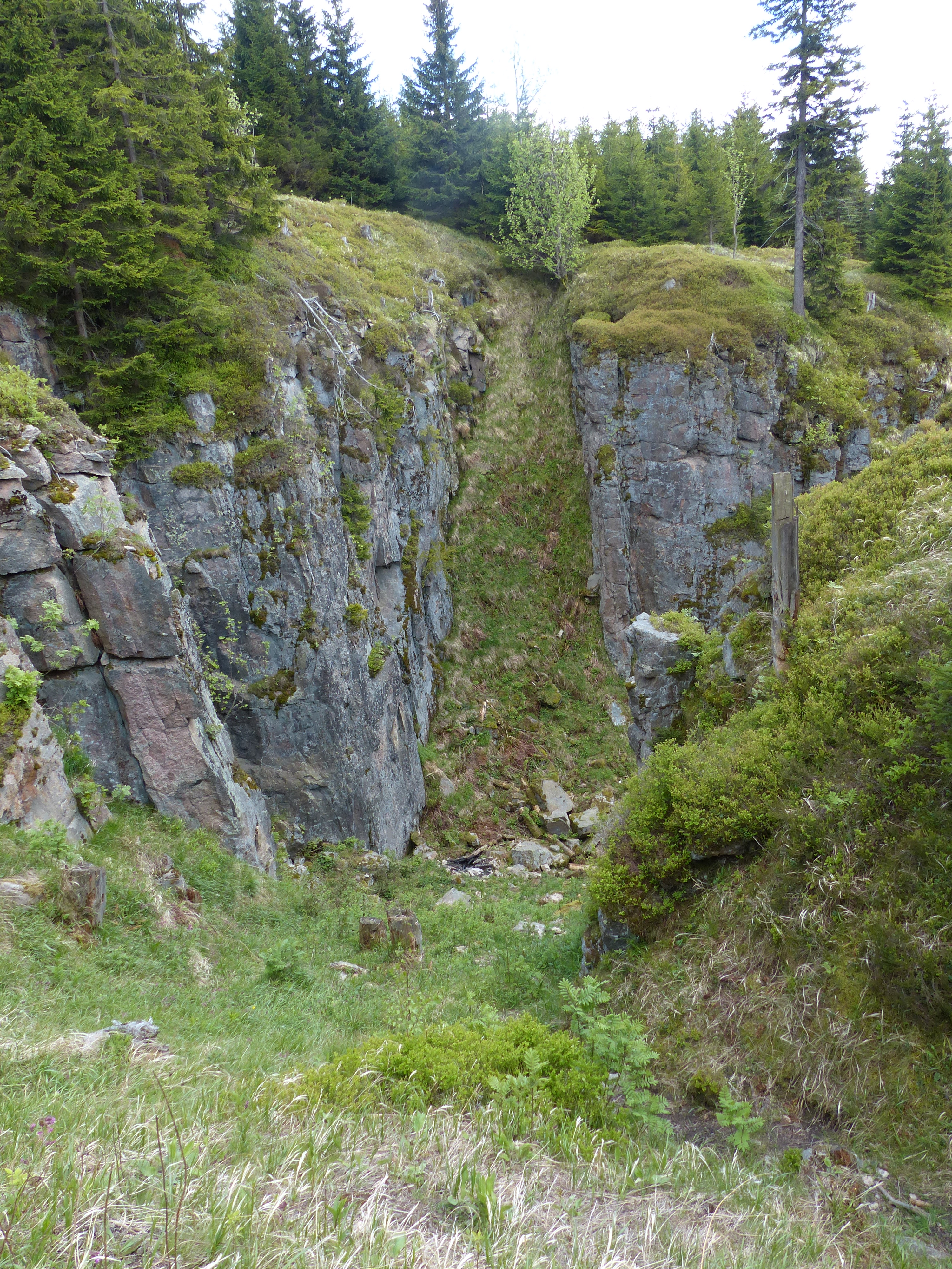 Rocky collapsed mine ravine Vlci jamy in Ore Mountains forest