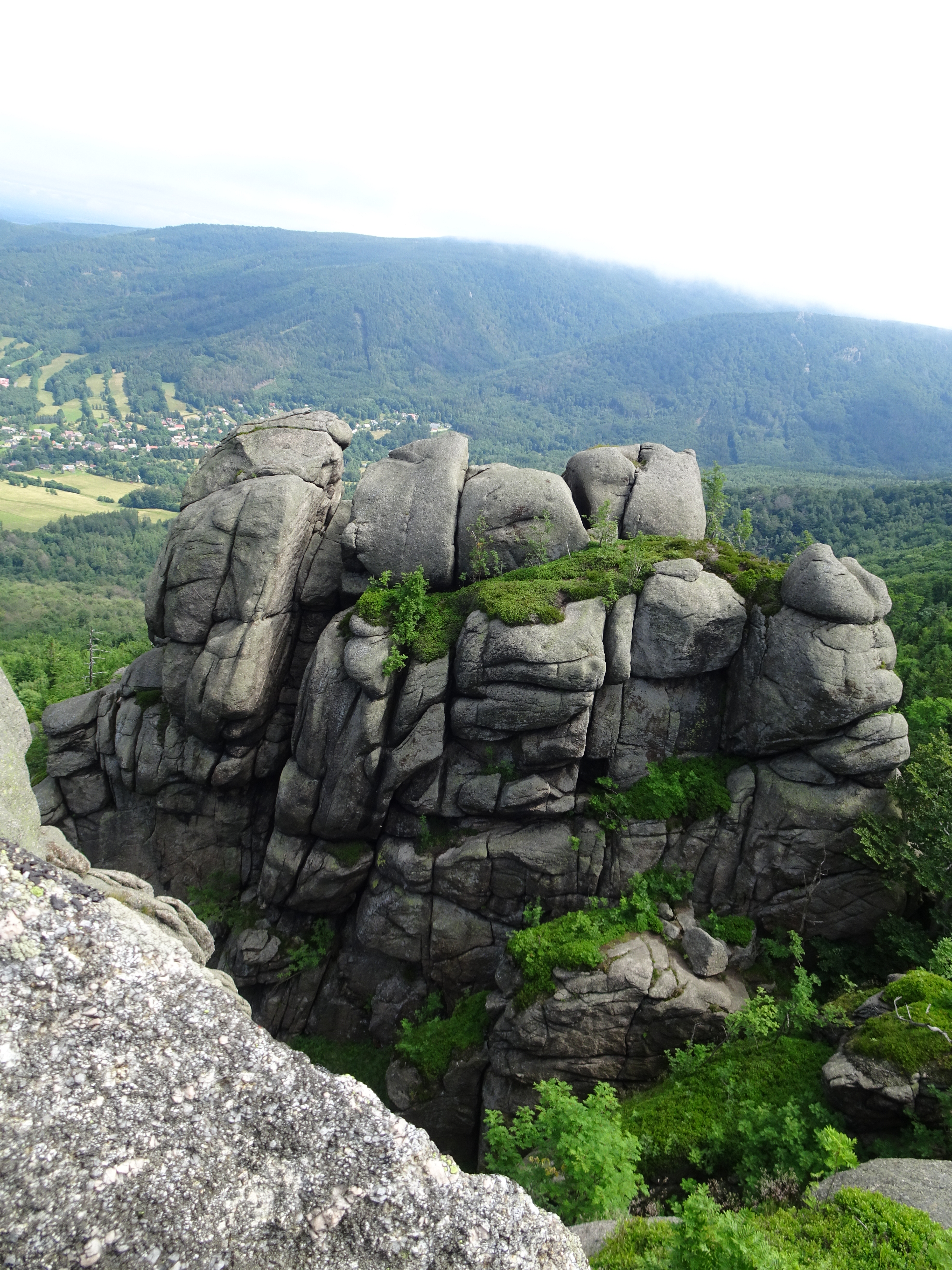 Granite rock formation in Jizera Mountains beech forest