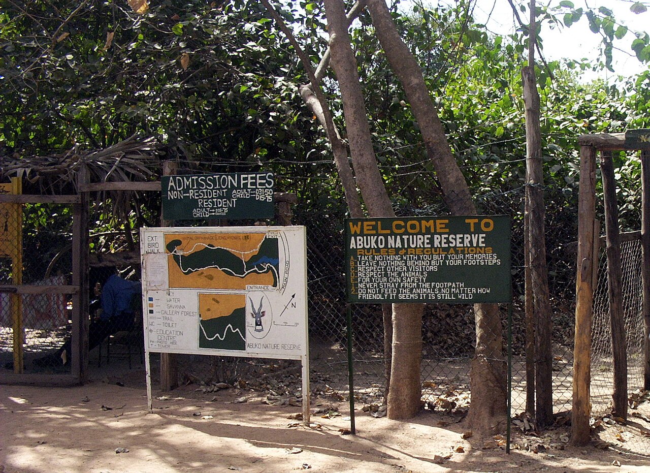 Abuko Nature Reserve gallery forest