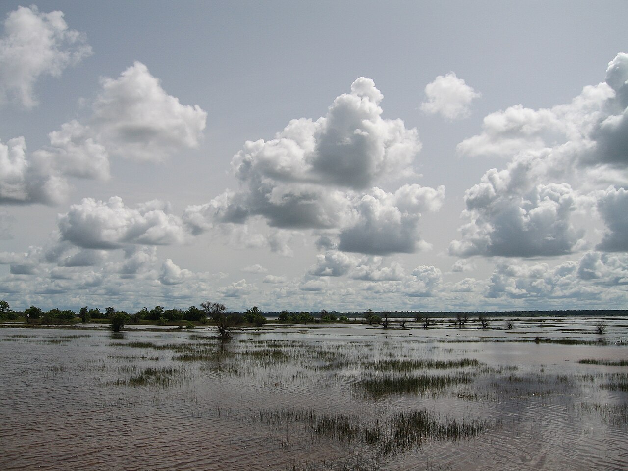 Wetlands along the River Gambia