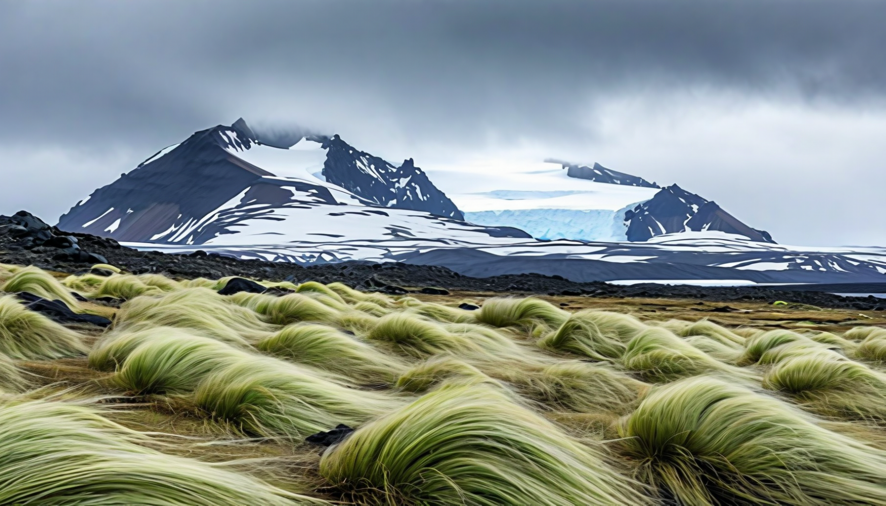 Tussock grass