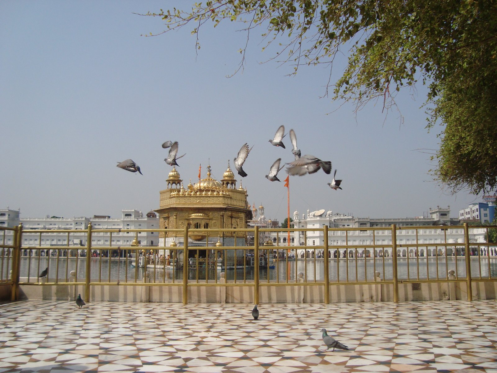 The Golden Temple (Harmandir Sahib) across its sacred pool in Amritsar