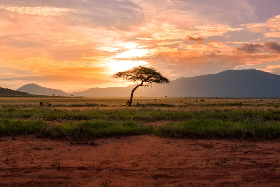 Lake Malawi at sunset, the Lake of Stars, southeastern Africa
