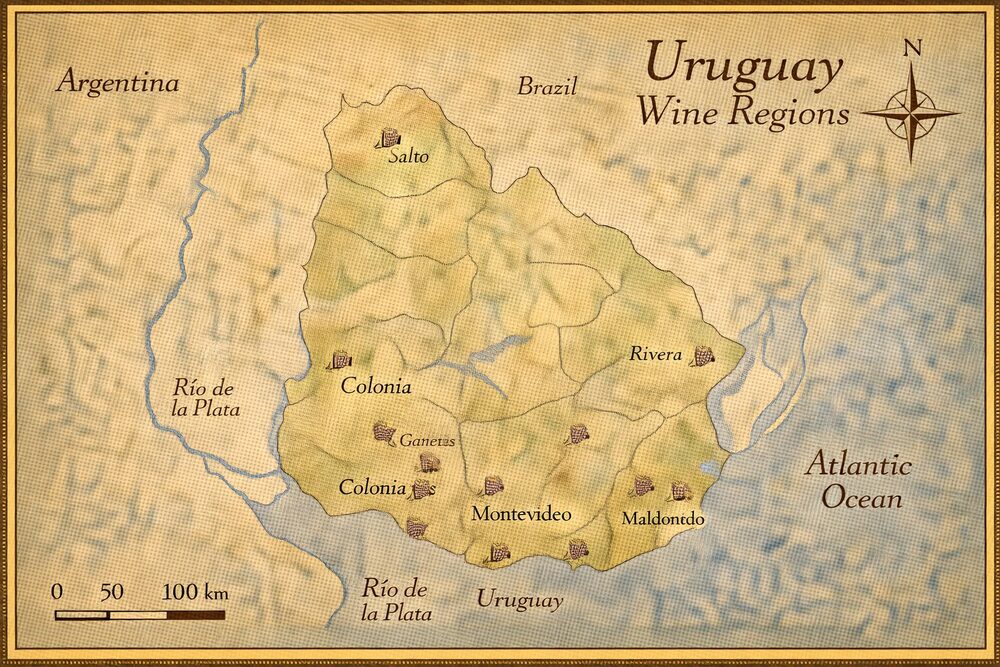 Map of Uruguay's wine regions