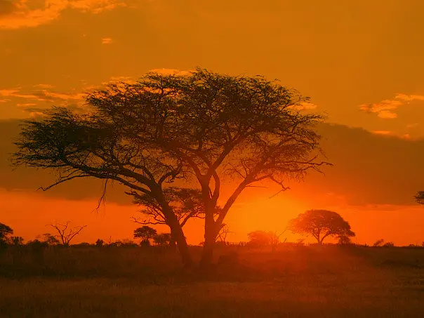 Zimbabwe — chapter photograph: Matobo Hills