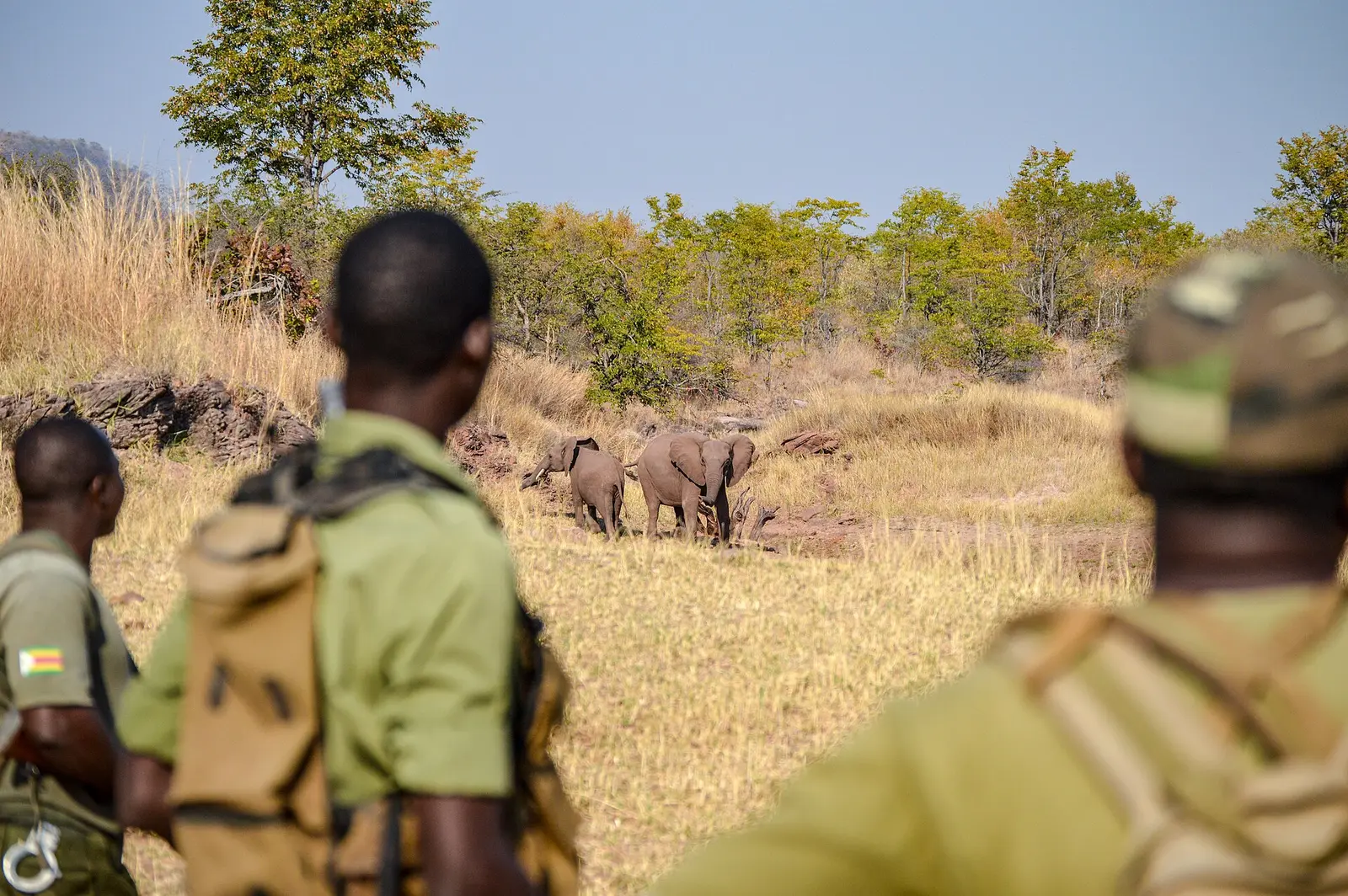 Zimbabwe — chapter photograph: Responsible travel